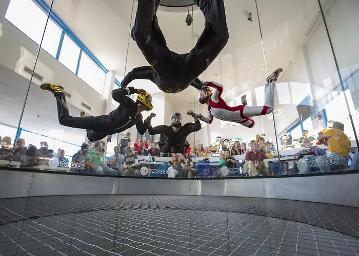 Basic Comfort Canigo 0030